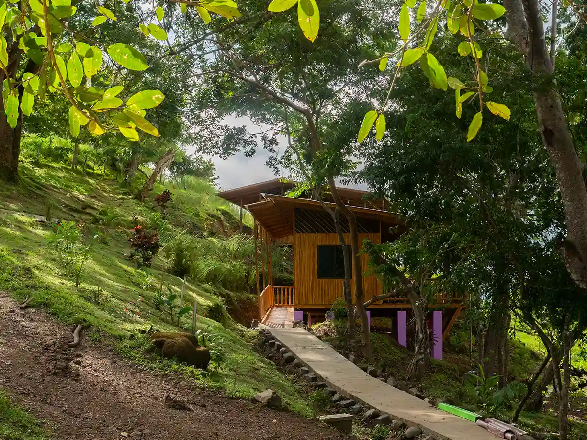 finca colibri, costa rica, retraites spirituelles, anne rose therapie