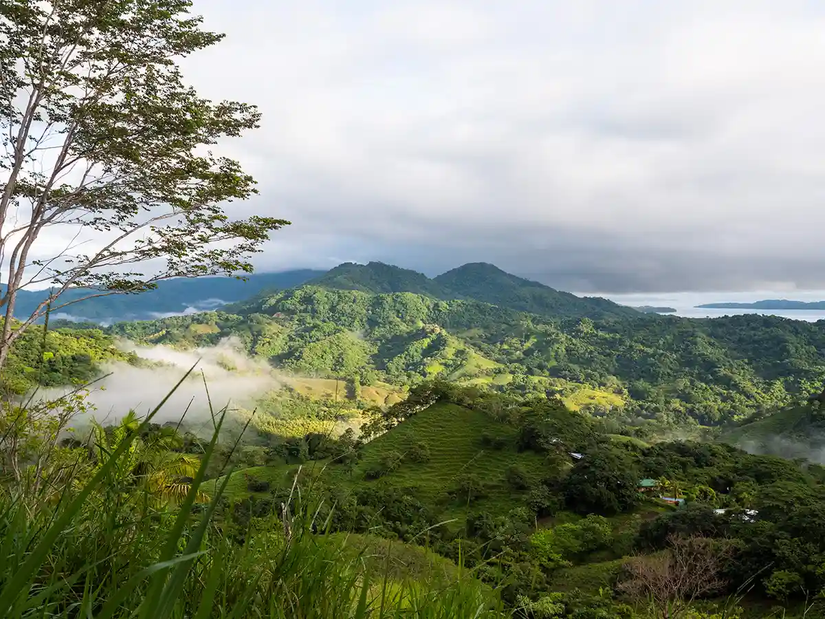 finca colibri, costa rica, retraites spirituelles, anne rose therapie